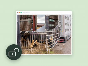 Egenkontroll av rrliga lastplan p fordon som anvnds vid djurtransporter