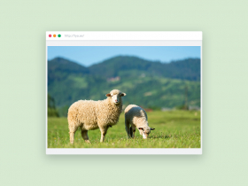 Djurtransporter - en introduktion (e-learning)